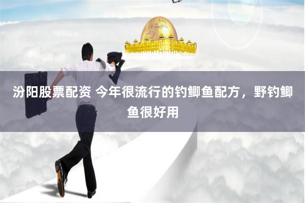 汾阳股票配资 今年很流行的钓鲫鱼配方，野钓鲫鱼很好用