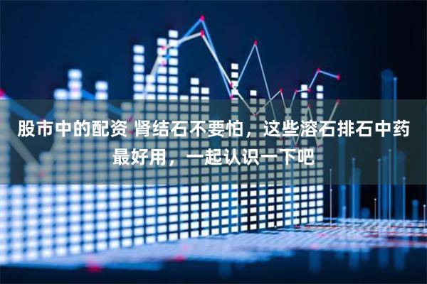 股市中的配资 肾结石不要怕，这些溶石排石中药最好用，一起认识一下吧