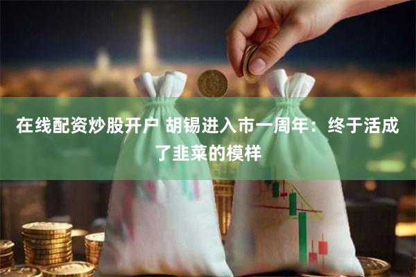 在线配资炒股开户 胡锡进入市一周年：终于活成了韭菜的模样