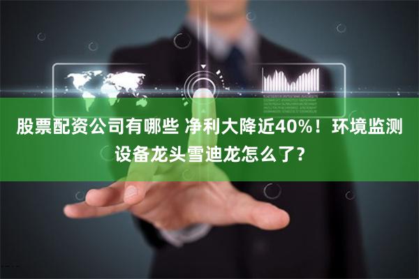 股票配资公司有哪些 净利大降近40%！环境监测设备龙头雪迪龙怎么了？