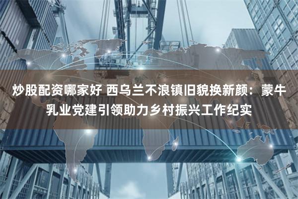 炒股配资哪家好 西乌兰不浪镇旧貌换新颜：蒙牛乳业党建引领助力乡村振兴工作纪实