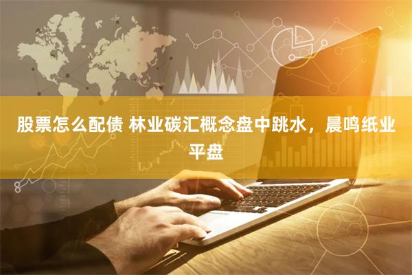 股票怎么配债 林业碳汇概念盘中跳水，晨鸣纸业平盘