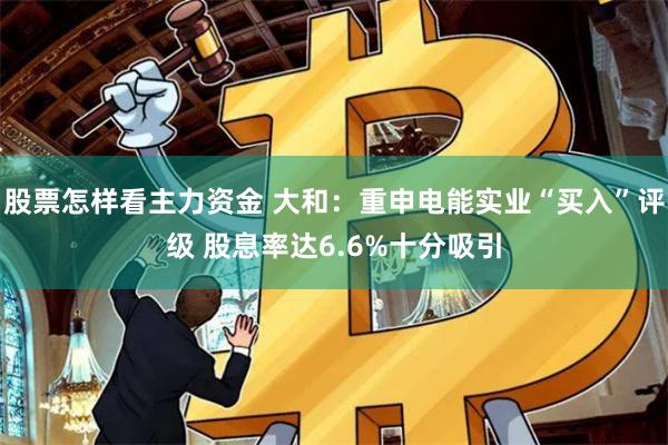 股票怎样看主力资金 大和：重申电能实业“买入”评级 股息率达6.6%十分吸引